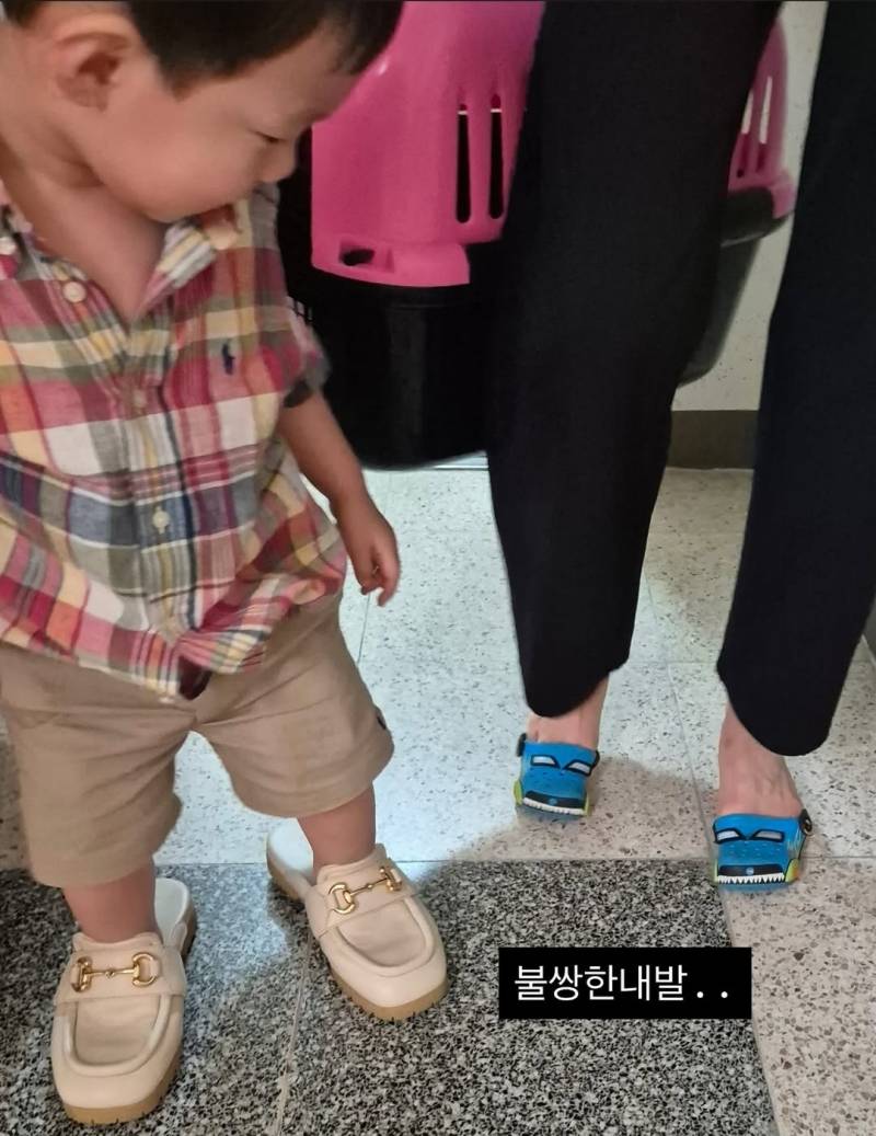 [잡담] 아 이안이랑 삼모님 신발 좀 봨ㅋㅋㅋㅋㅋㅋㅋㅋ | 인스티즈