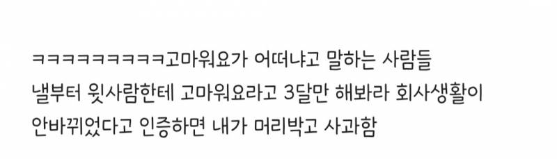 현재 블라인드 터트린 신입 말투..jpg | 인스티즈