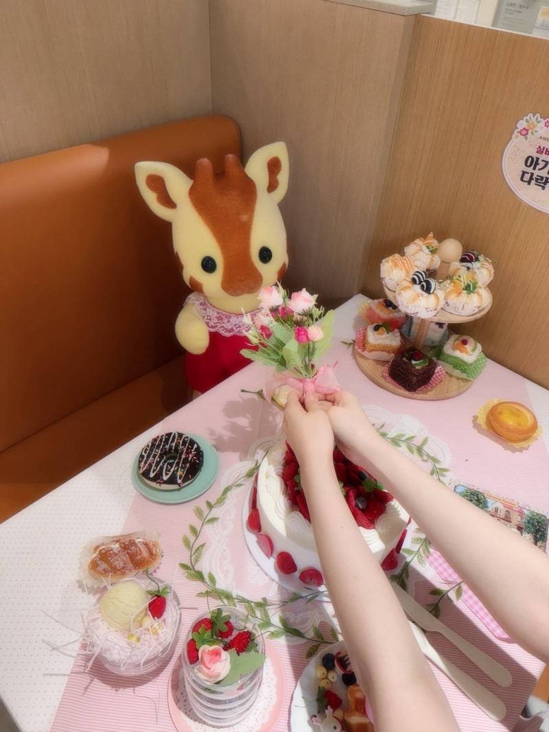 홍대 엔제리너스 실바니안 팝업 왔는데 얘들이 날 기다리고 있음 | 인스티즈