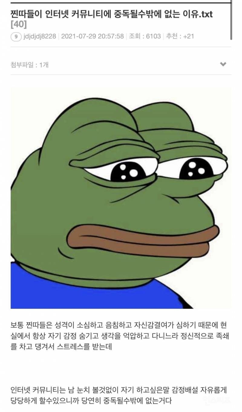 찐따들이 커뮤니티에 중독될 수밖에 없는 이유 | 인스티즈