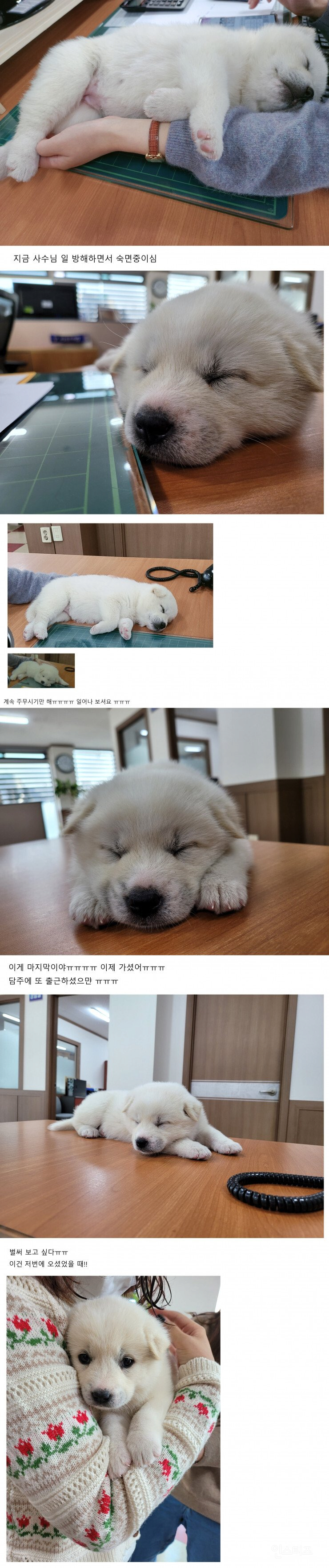 부장님이 회사에 막내딸이라며 데려옴 | 인스티즈