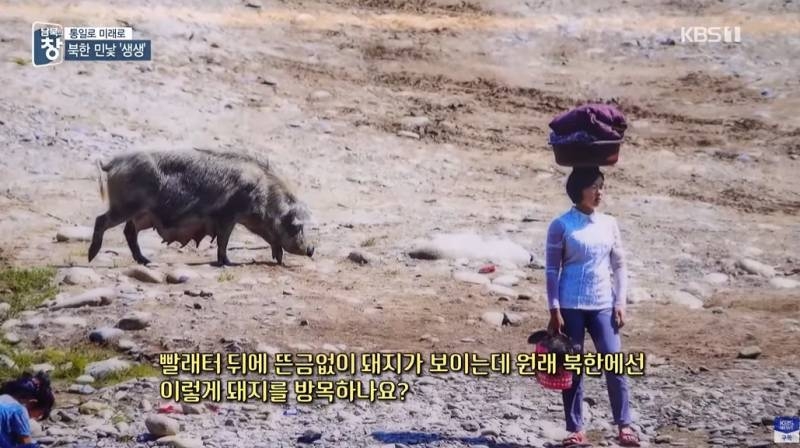 망원렌즈로 촬영한 북한 판자집 | 인스티즈