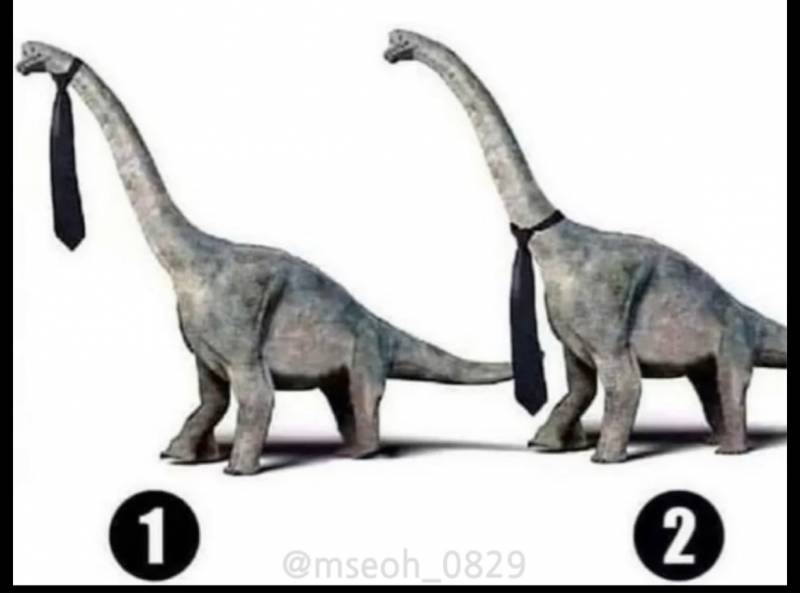 해외에서 논란 중인 문제 | 인스티즈