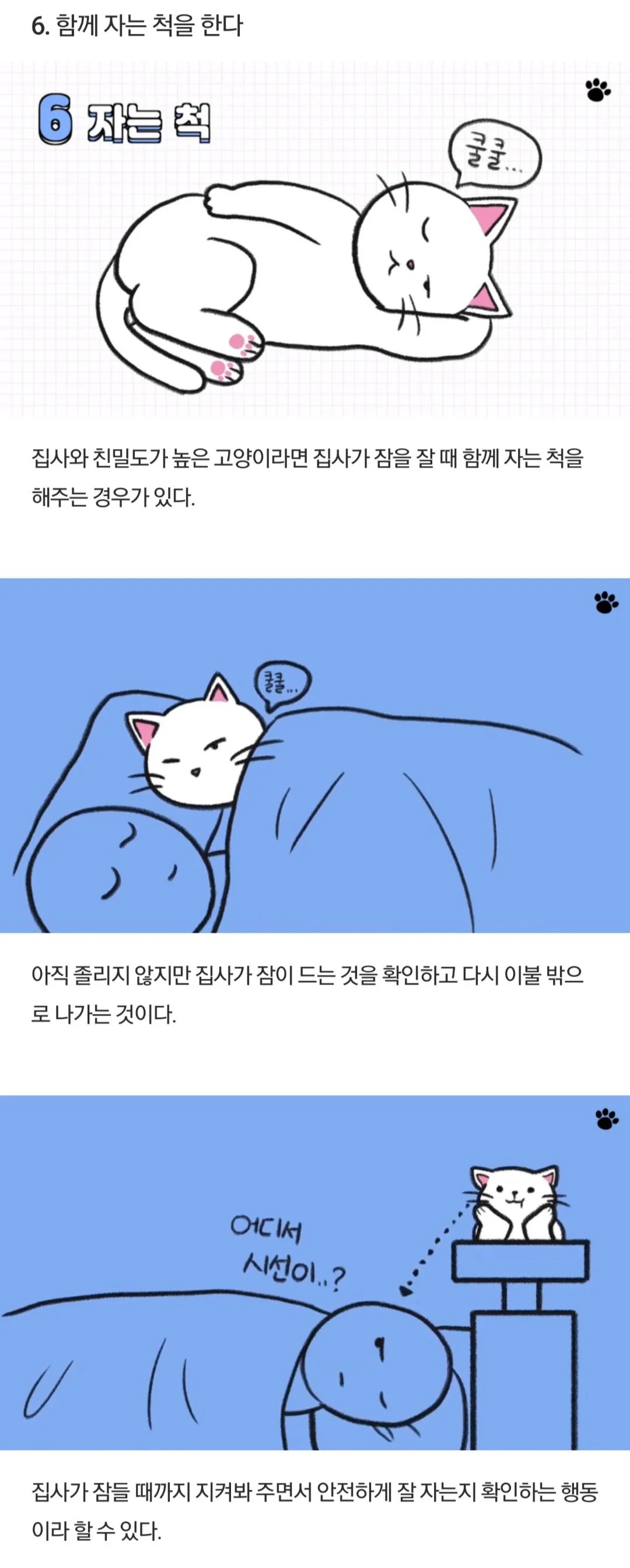 고양이가 당신을 아기로 여긴다는 증거.jpg | 인스티즈