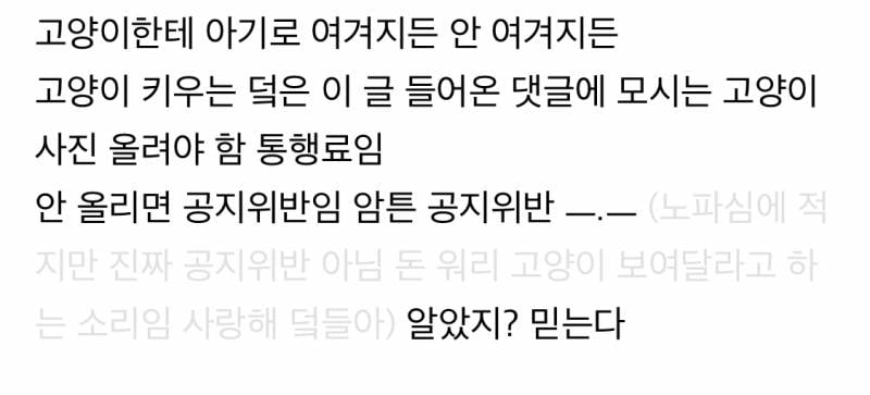고양이가 당신을 아기로 여긴다는 증거.jpg | 인스티즈