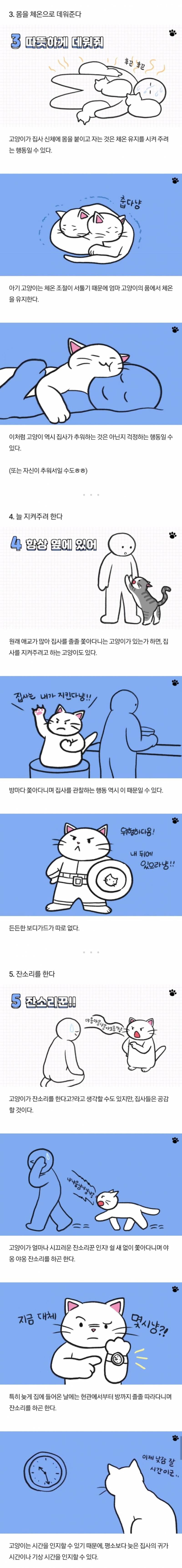 고양이가 당신을 아기로 여긴다는 증거.jpg | 인스티즈