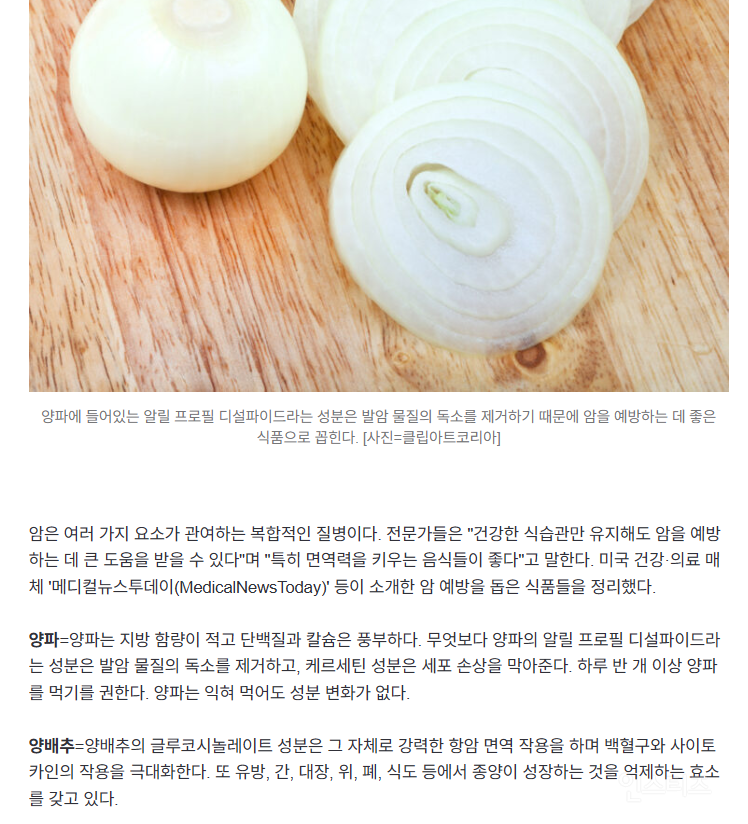 암 예방하는 데 도움...자주 먹으면 좋은 항암 식품 17가지 | 인스티즈
