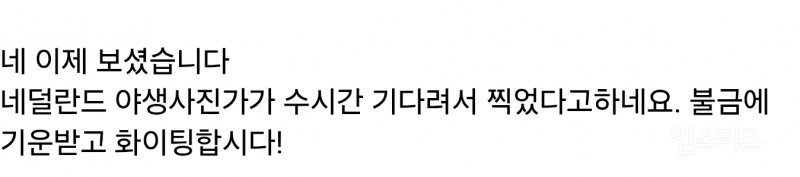 님들 꽃냄새 맡는 다람쥐 본적있음?? | 인스티즈