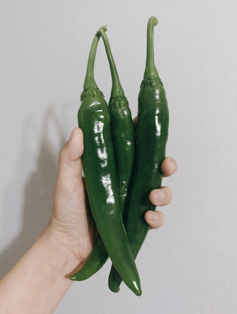 [잡담] 엄마 고추 농사 망했대 | 인스티즈