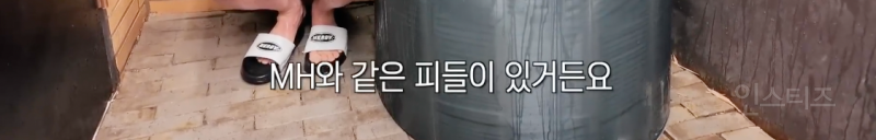 드디어 만난 아이돌 MH 혈통 라인 .jpg | 인스티즈