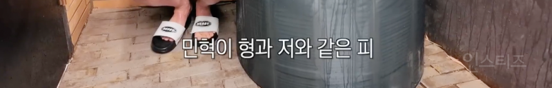 드디어 만난 아이돌 MH 혈통 라인 .jpg | 인스티즈