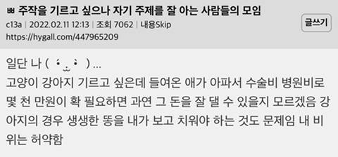 반려동물을 기르고 싶으나 자기 주제를 잘 아는 사람들의 모임 | 인스티즈