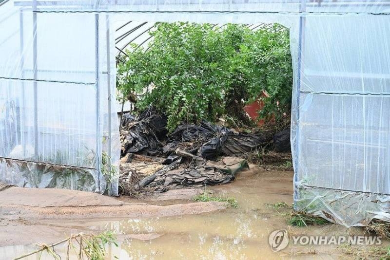 폭우로 재난 상황인데...이게 맞아 지금??? | 인스티즈