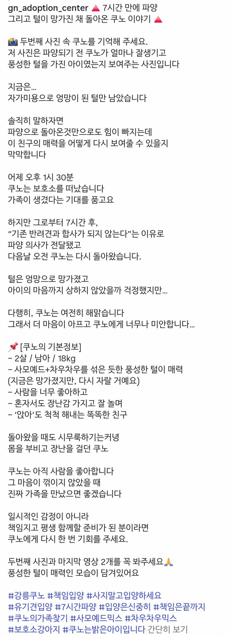 🚨(충격주의) 입양간지 7시간 만에 파양된 강아지🚨 | 인스티즈