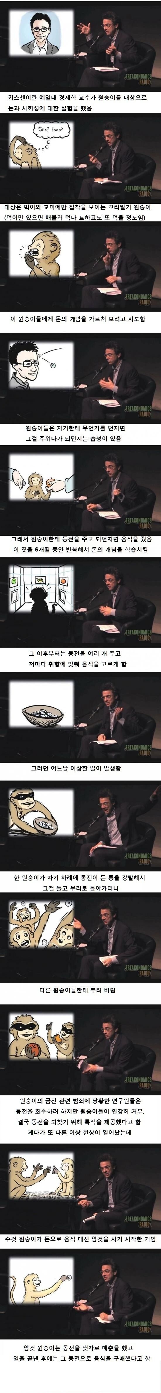 돈의 개념을 알게 된 원숭이가 처음으로 한 일 | 인스티즈