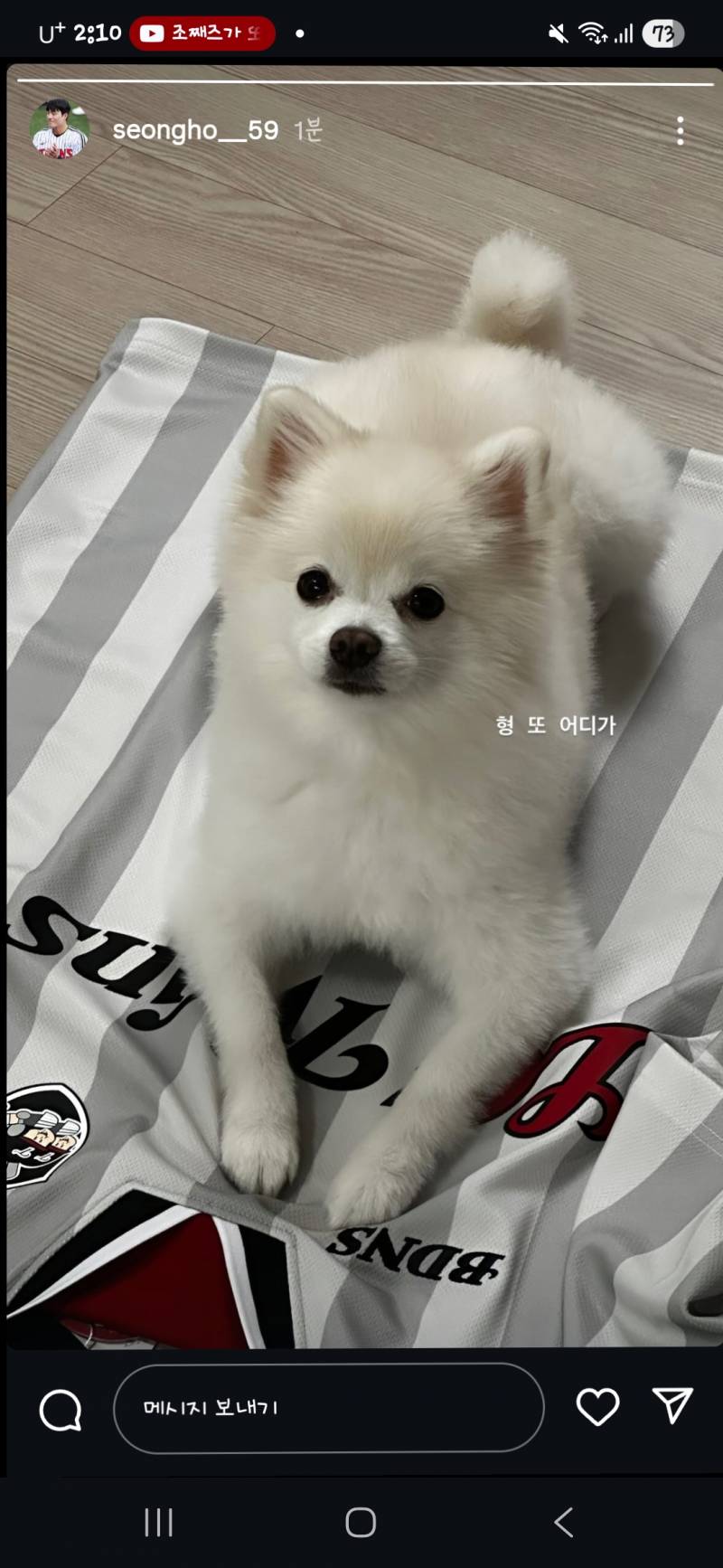 [잡담] 천성호 인스 뭉치🐶 | 인스티즈