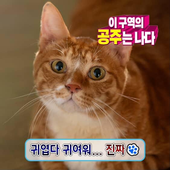 영화 <좀비딸> 언론시사회에 혼자 불참한 애용이 | 인스티즈