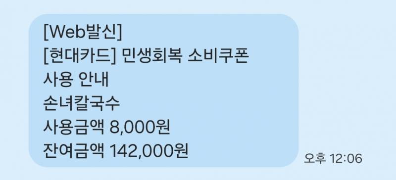 [잡담] 현대카드 문자 안와도 지원금 들어온건가봐 | 인스티즈