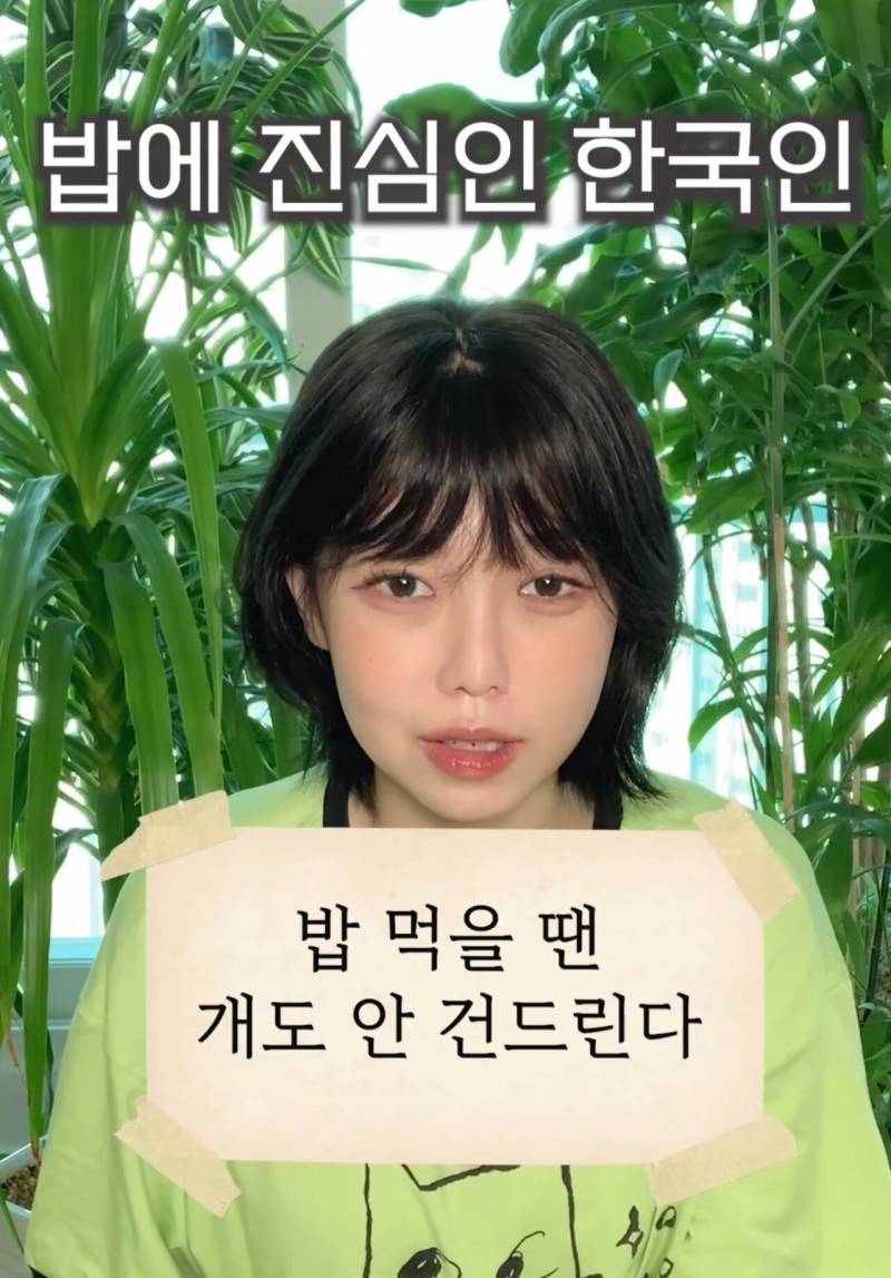 "밥 먹을 땐 개도 안 건드린다" 해석 논란 | 인스티즈