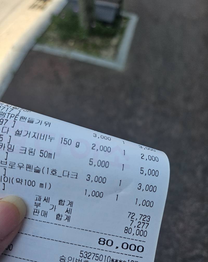 [잡담] 지원금으로 다이소에서 8만원 썼다 | 인스티즈