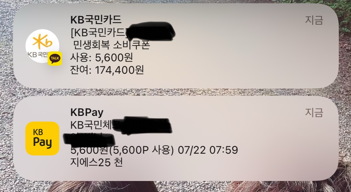 [잡담] 지원금 쓰면 이렇게 알림 온다 | 인스티즈
