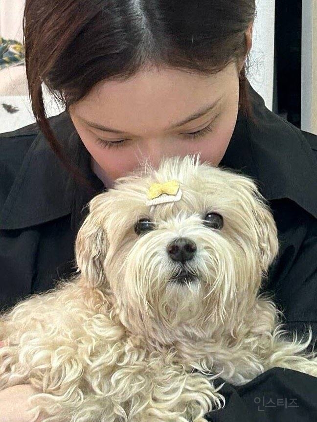 어제자 에스파 윈터 인스타 업뎃 | 인스티즈