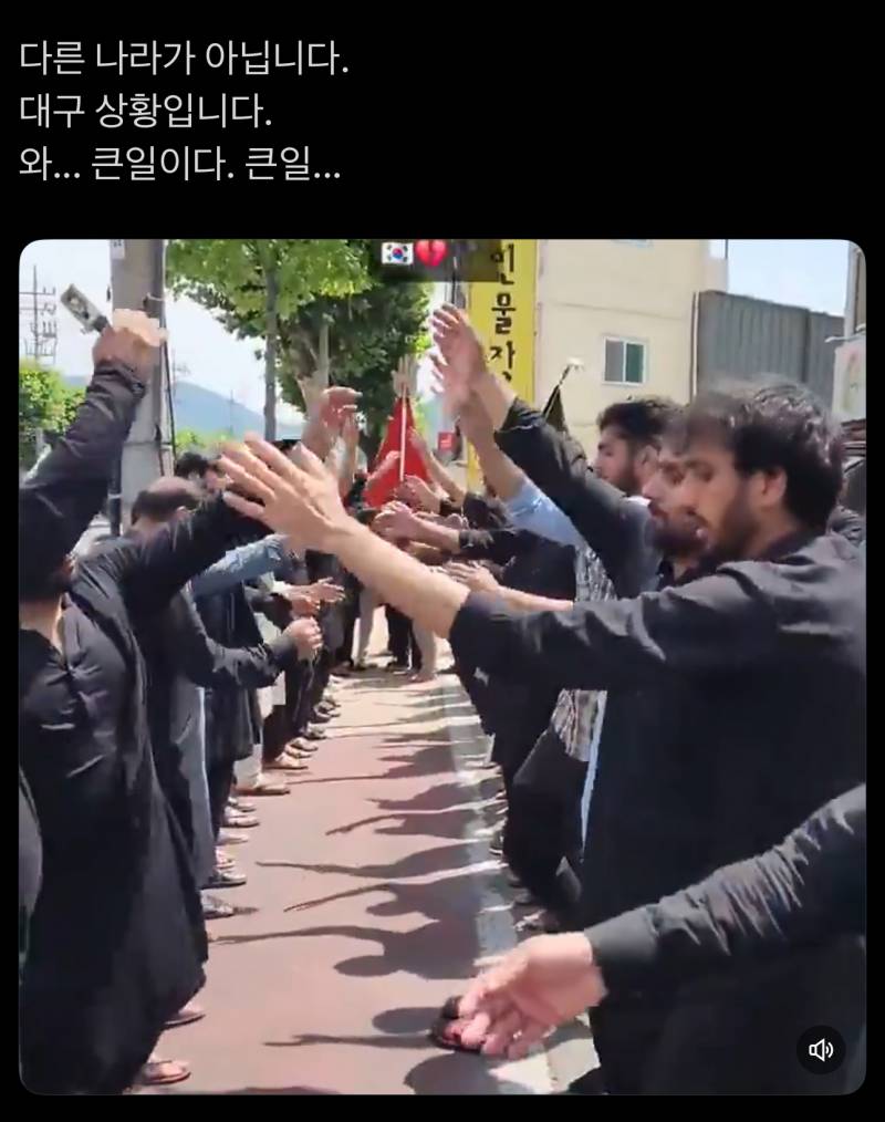 [잡담] 와 얘네 한국에도 나타났네… 어떡하냐 진짜 | 인스티즈