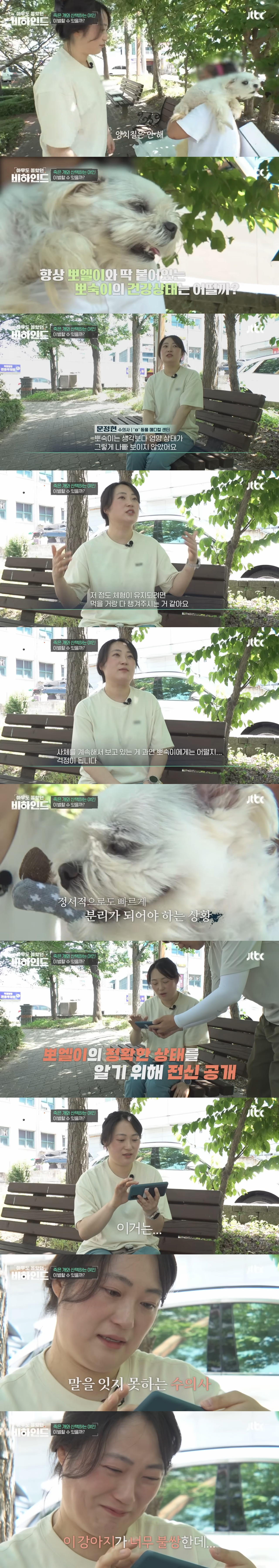 매일 죽은 개를 안고 다니는 여자의 사연 | 인스티즈
