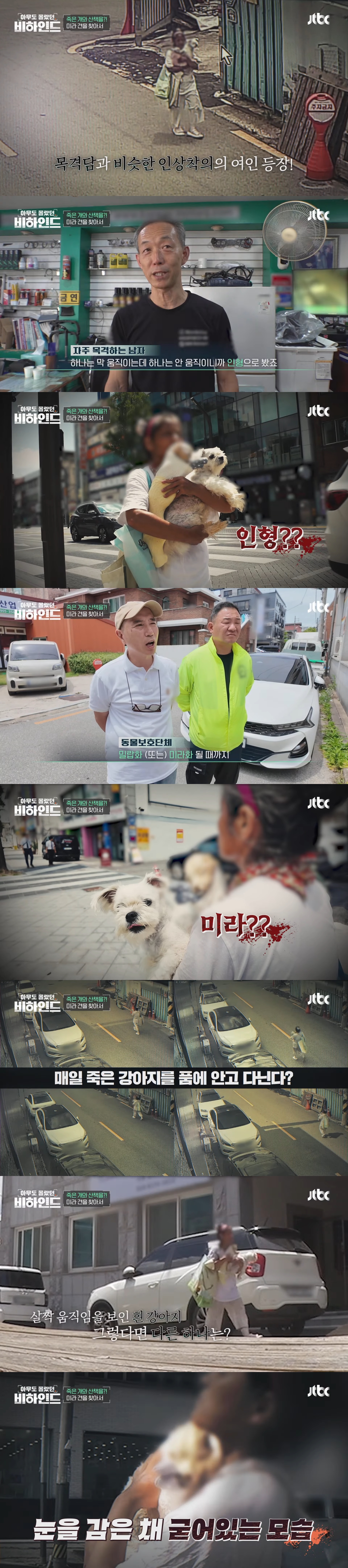 매일 죽은 개를 안고 다니는 여자의 사연 | 인스티즈