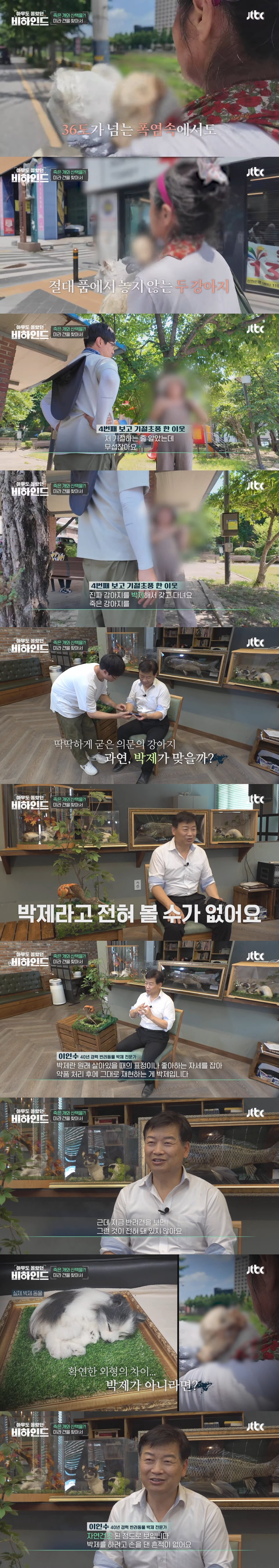 매일 죽은 개를 안고 다니는 여자의 사연 | 인스티즈