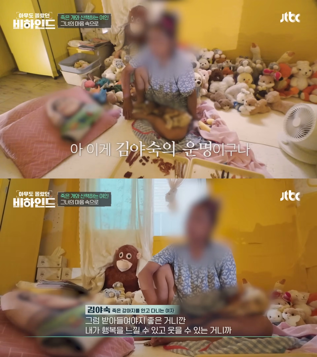 매일 죽은 개를 안고 다니는 여자의 사연 | 인스티즈