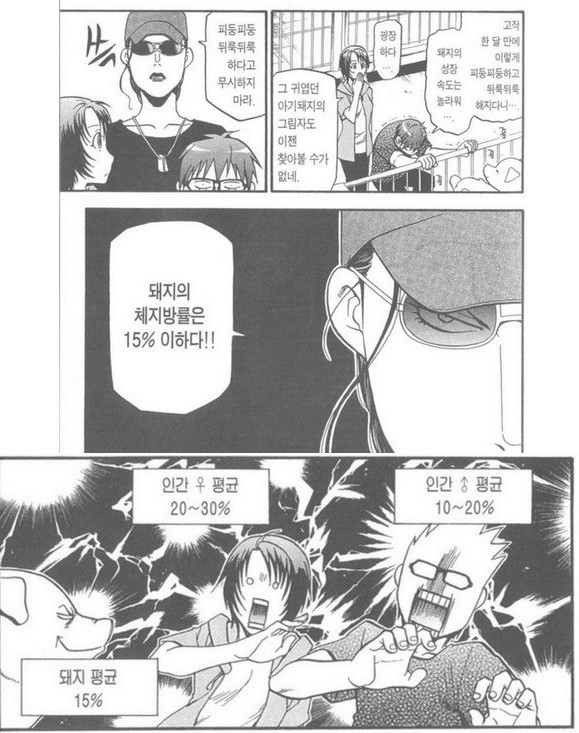 돼지라고 욕하면 안되는 이유.jpg | 인스티즈