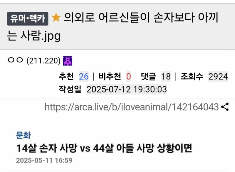 의외로 어르신들이 손자보다 아끼는 사람 | 인스티즈