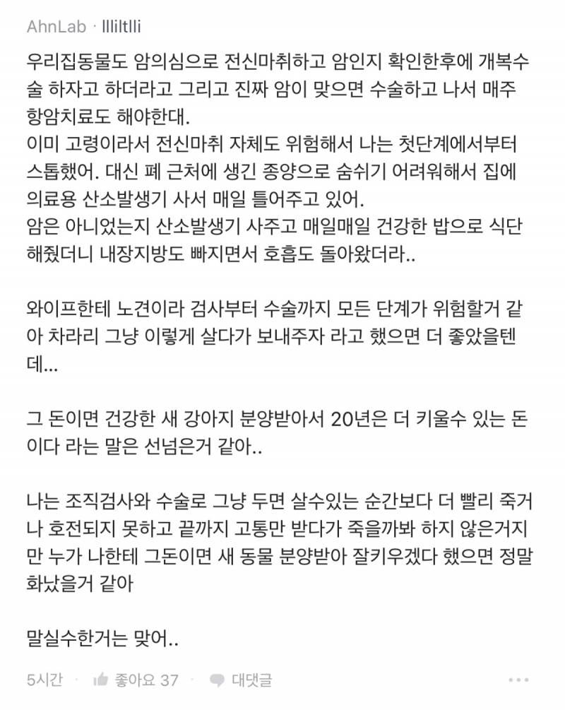 강아지 수술비 1400만원으로 이혼 직전이야.JPG | 인스티즈