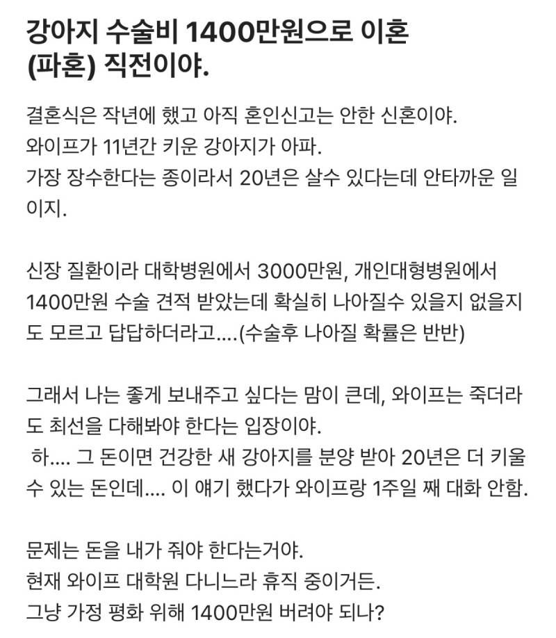 강아지 수술비 1400만원으로 이혼 직전이야.JPG | 인스티즈