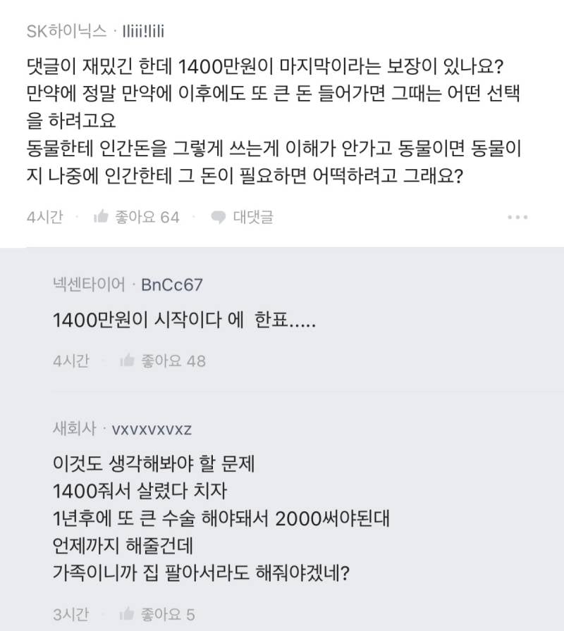 강아지 수술비 1400만원으로 이혼 직전이야.JPG | 인스티즈