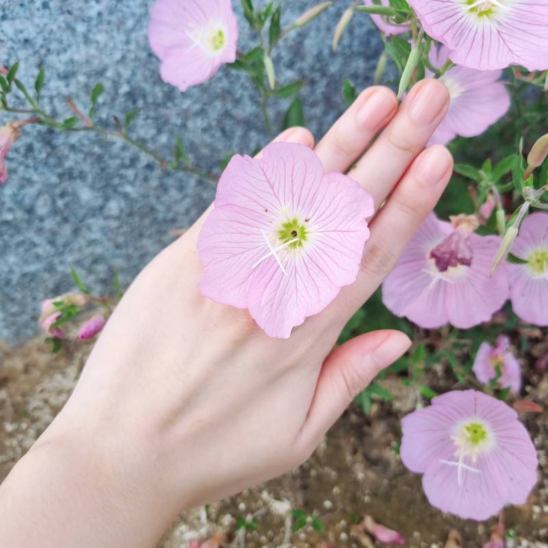 [잡담] 나한테서 유일하게 봐줄만한 곳(소소함 주의) | 인스티즈