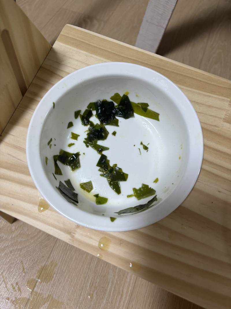 [잡담] 울집 강아지 몸보신으로 소고기 완자 미역국 해줬는데 뚝딱 했네 | 인스티즈