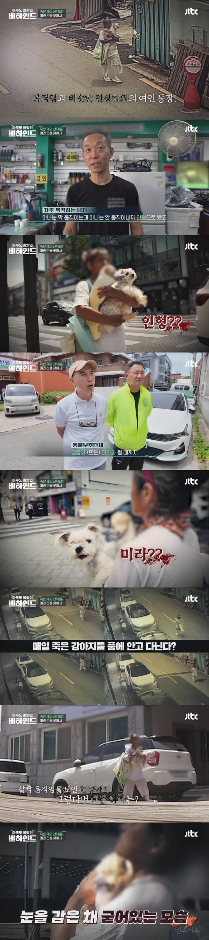 매일 죽은개를 안고다니는 여자의 사연 | 인스티즈