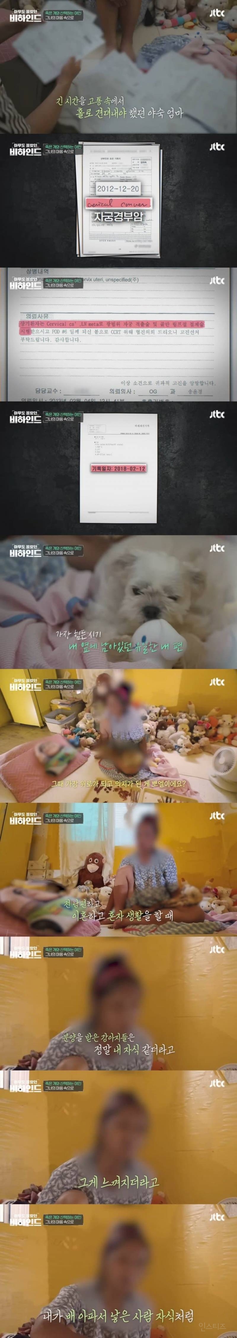 매일 죽은개를 안고다니는 여자의 사연 | 인스티즈