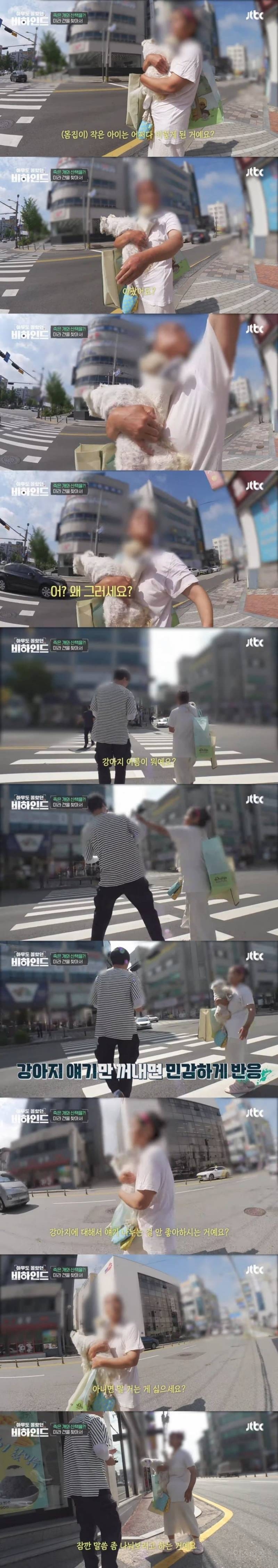 매일 죽은개를 안고다니는 여자의 사연 | 인스티즈