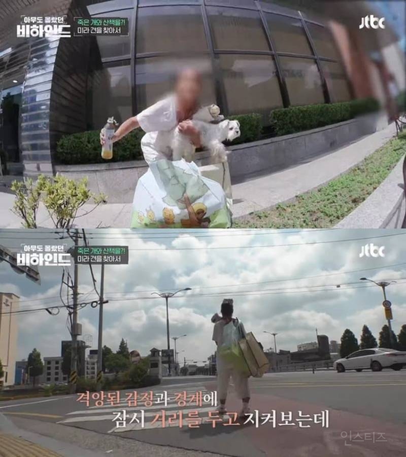 매일 죽은개를 안고다니는 여자의 사연 | 인스티즈
