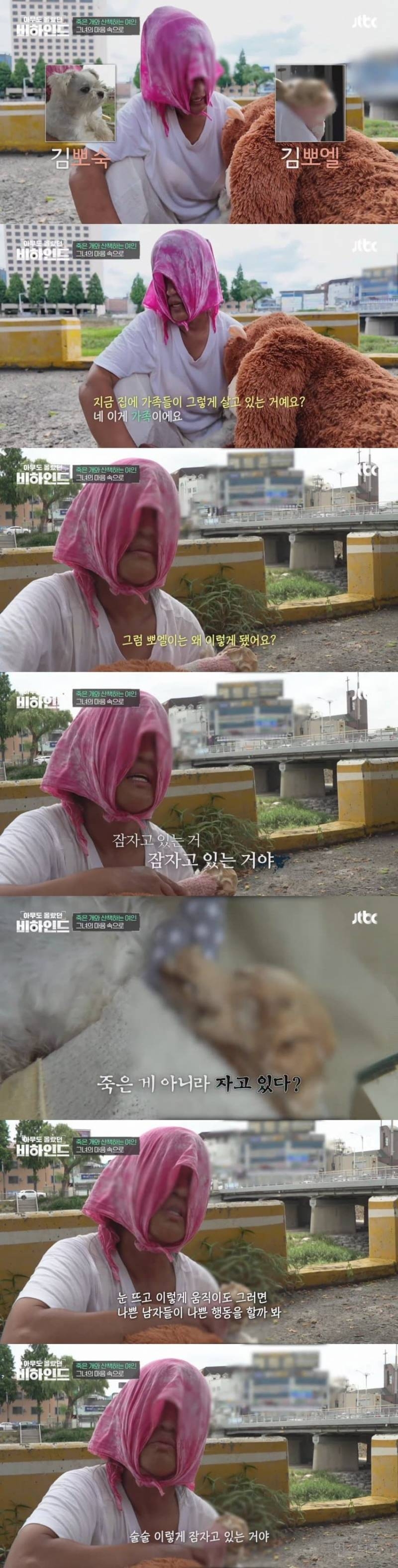 매일 죽은개를 안고다니는 여자의 사연 | 인스티즈