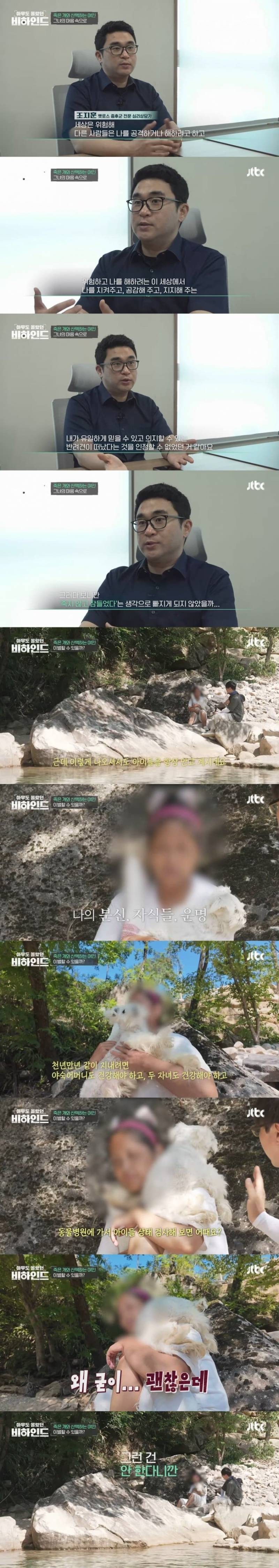 매일 죽은개를 안고다니는 여자의 사연 | 인스티즈