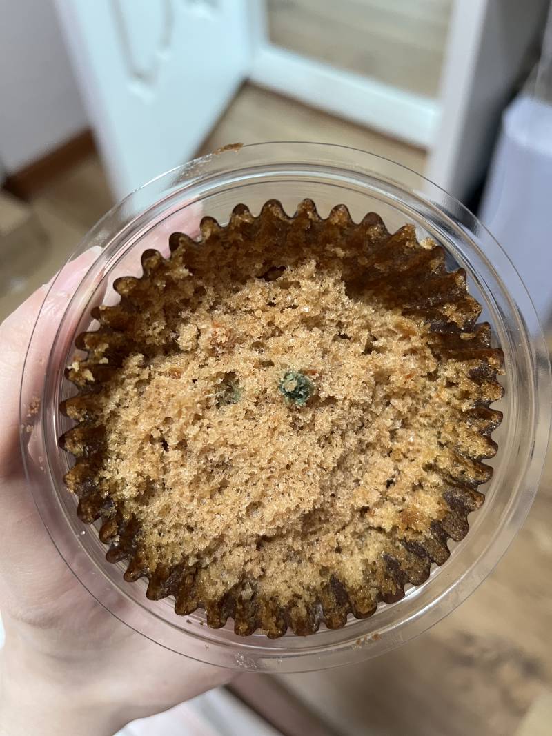 [잡담] 이거 곰팡이일까...? | 인스티즈