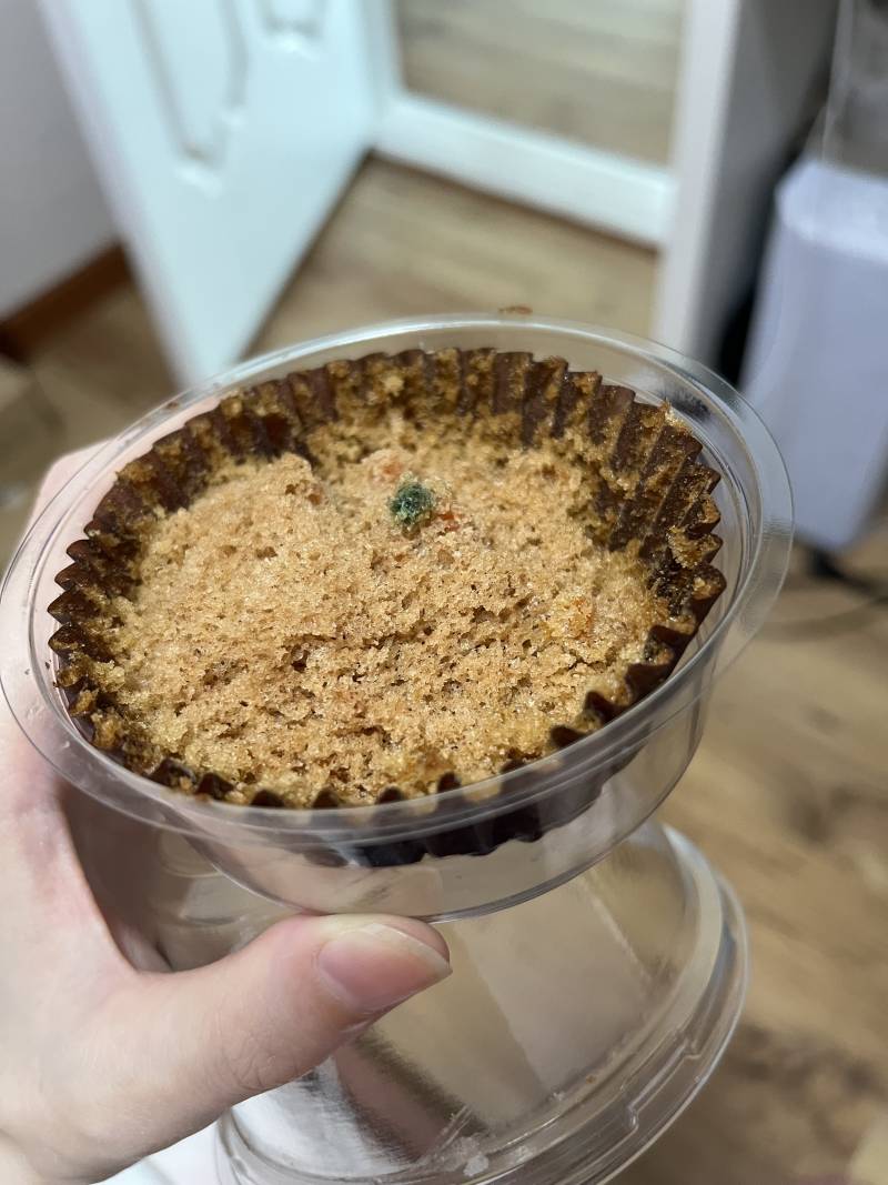 [잡담] 이거 곰팡이일까...? | 인스티즈