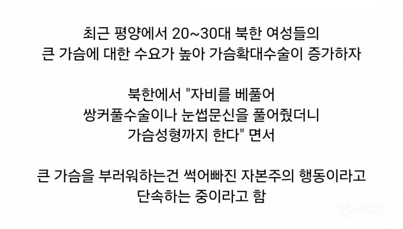 큰 가슴을 단속중이라는 북한 근황 jpg | 인스티즈