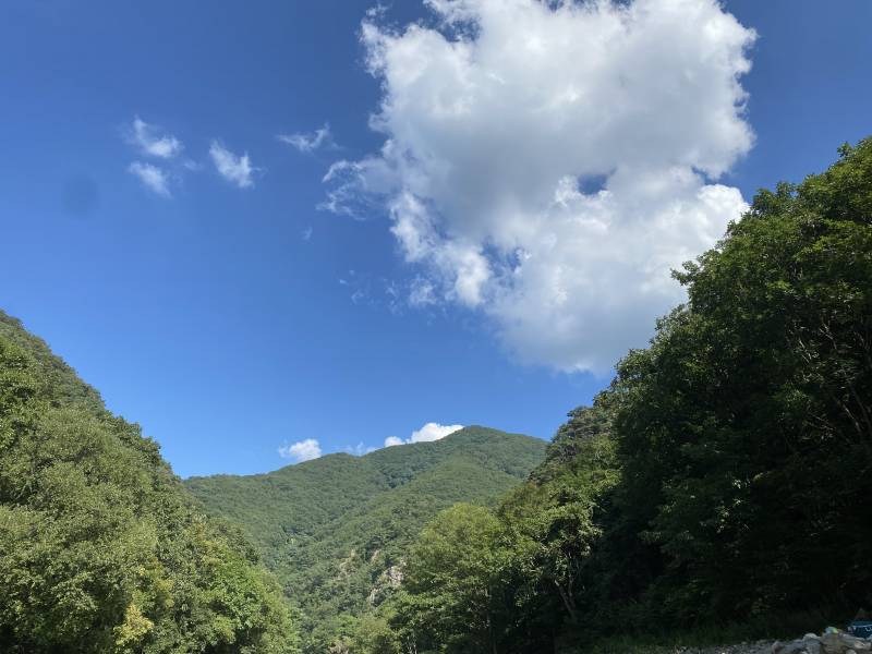 [잡담] 오늘 계곡갔다가 죽을뻔 | 인스티즈