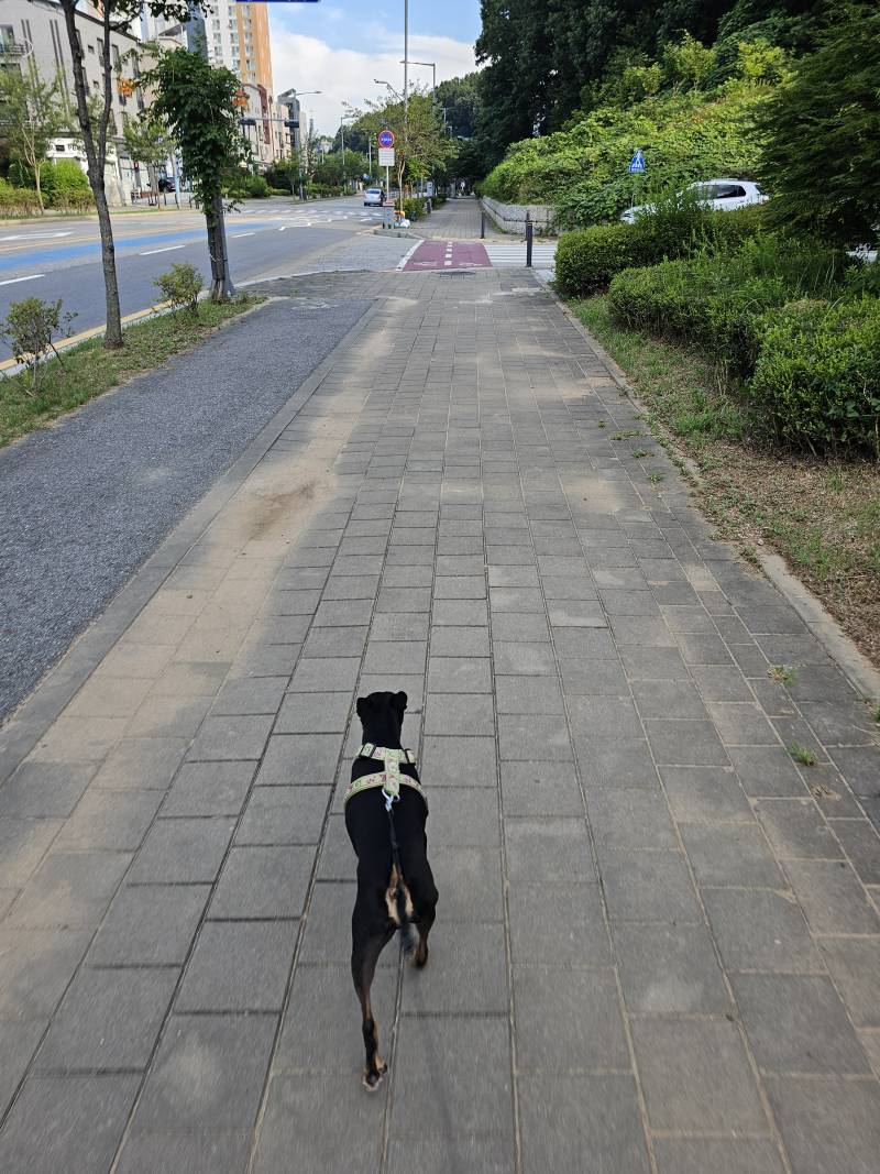 [잡담] 와.. 밖에 햇빛도안나는데 진짜 개더움.. | 인스티즈
