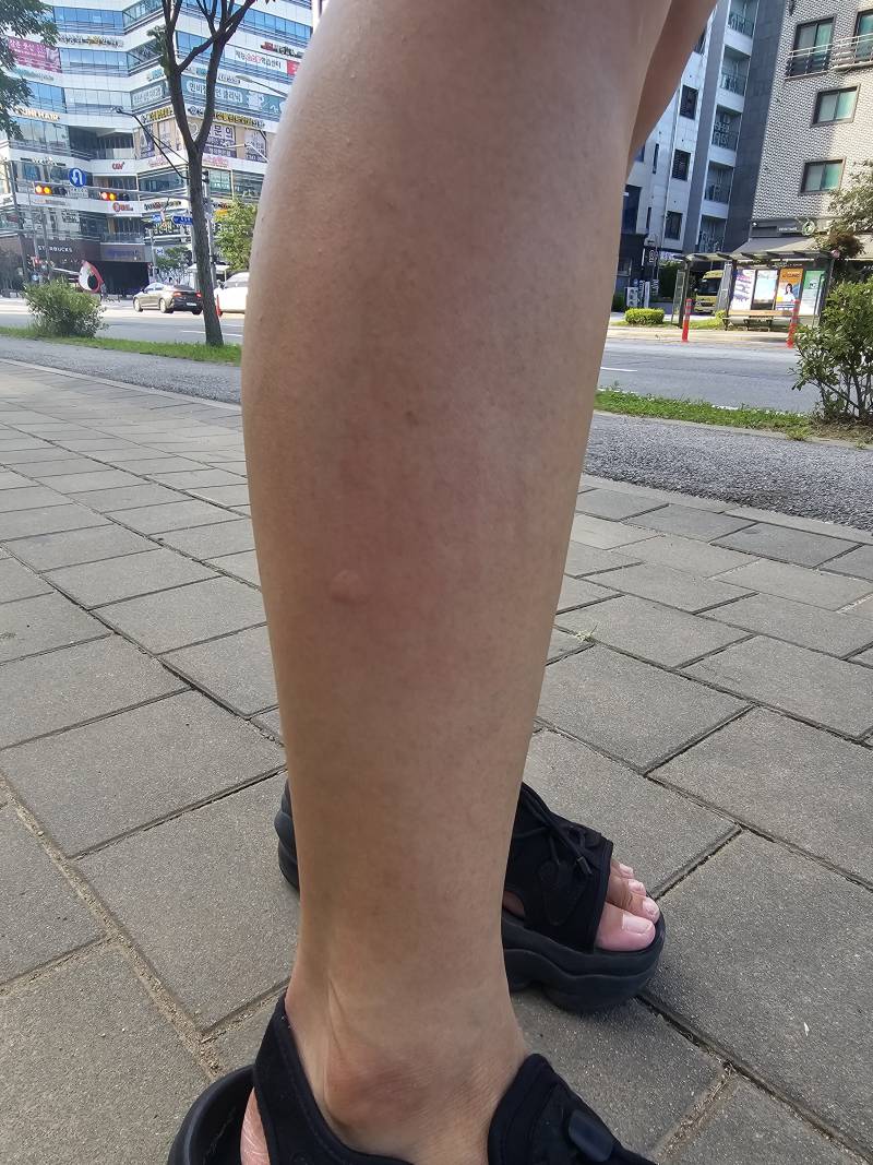 [잡담] 와.. 밖에 햇빛도안나는데 진짜 개더움.. | 인스티즈